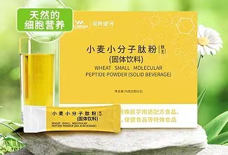 小麦小分子肽粉
